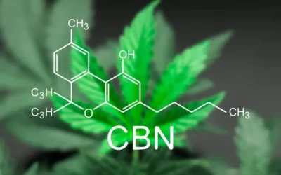¿Qué es el Cannabinoide CBN y Cuáles Son Sus Beneficios?