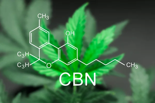 CBN