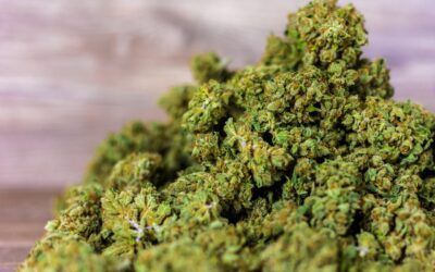 Flores de CBD y vaporización: la combinación perfecta para disfrutar del cannabidiol