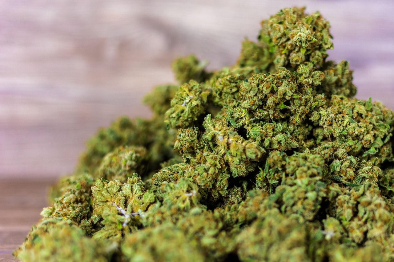 Flores de cbd y vaporizadores