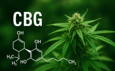 CBG: el “cannabinoide madre” y su potencial en el mundo del vapeo