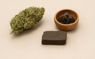 Flores de CBD vs Resinas CBD: ¿Cuál elegir según tus necesidades?