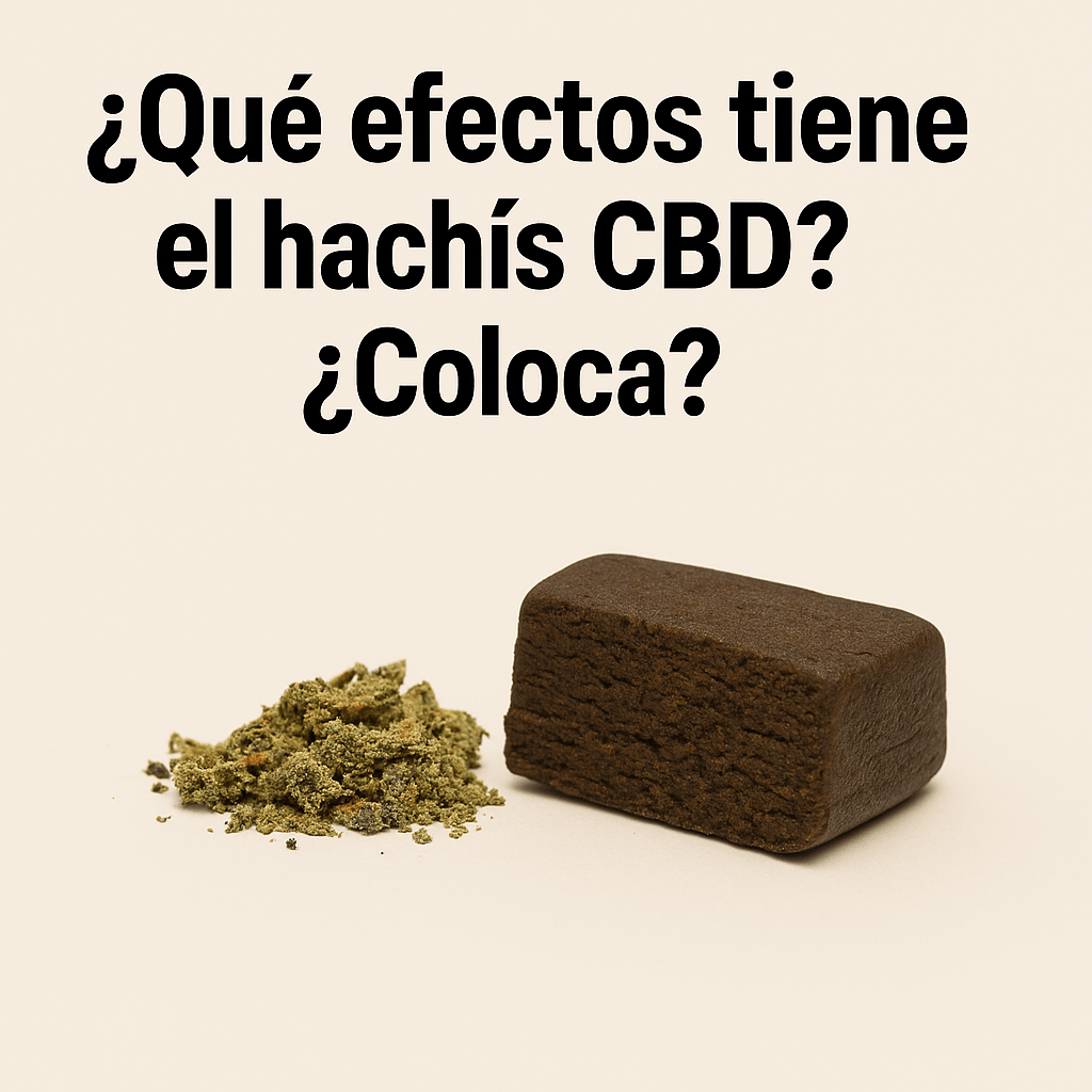 resina CBD natural junto a polen cannabis