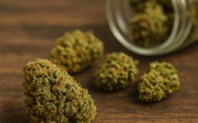 ¿Qué son las flores de CBD y cómo se consumen?