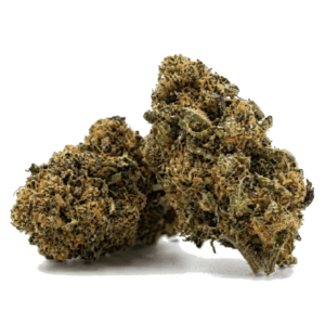 Scarlet Haze Green Nap, flor de CBD con aroma herbal y dulce, cogollos compactos y curado artesanal.