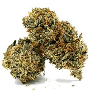 Widow Illusion Green Nap, flor de CBD de bajo THC con aroma herbal y cogollos compactos