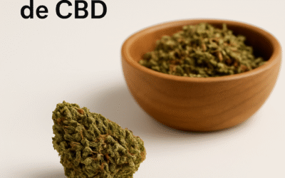 Cómo usar flores de CBD para relajación, ansiedad o insomnio