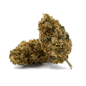 Velvet Green Nap, flor de CBG con aroma terroso y floral, cogollo denso y curado artesanal.