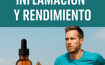 CBD y deporte: recuperación, inflamación y rendimiento