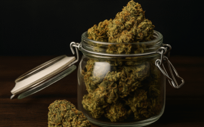 Cómo conservar correctamente las flores de CBD