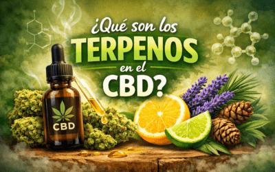 ¿Qué son los terpenos en el CBD y por qué son tan importantes?