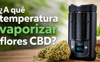 ¿A qué temperatura vaporizar flores CBD? Guía completa
