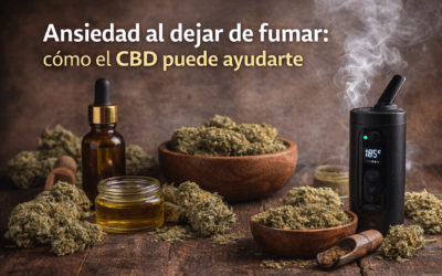 Ansiedad al dejar de fumar: cómo el CBD puede ayudarte
