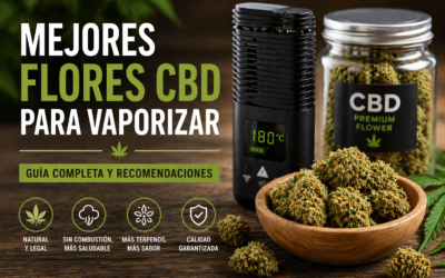 Mejores flores CBD para vaporizar (guía + comparativa)