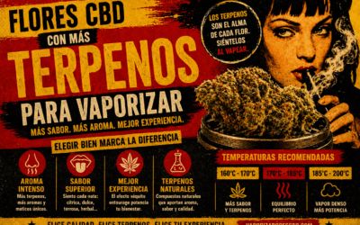 FLORES CBD CON MÁS TERPENOS PARA VAPORIZAR: GUÍA COMPLETA