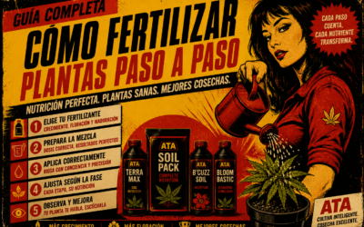Cómo fertilizar plantas paso a paso: guía completa