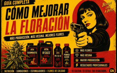 Cómo mejorar la floración de las plantas: más producción y flores de calidad
