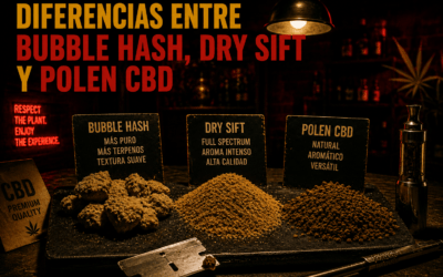 Diferencias entre Bubble Hash, Dry Sift y Polen CBD