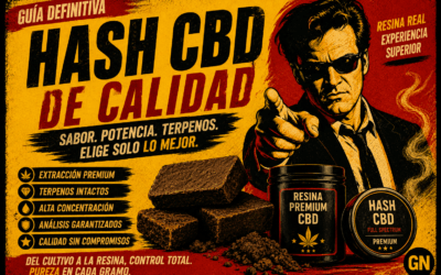 Cómo Saber si un Hash CBD es de Calidad: Guía Completa para Elegir Buenas Resinas
