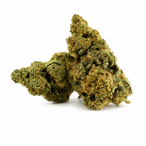 Flor CBD Rocket Queen Premium con cogollos resinosos y alto contenido en CBD