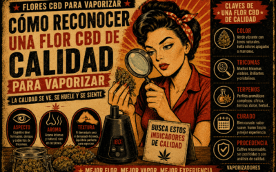 Cómo reconocer una flor CBD de calidad para vaporizar