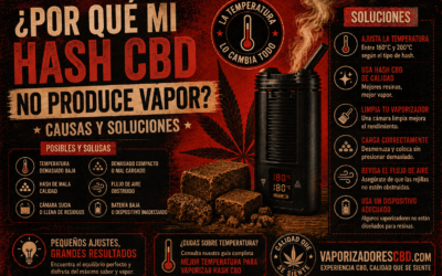¿Por qué mi hash CBD no produce vapor? Causas y soluciones